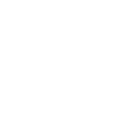 毫不迟疑地